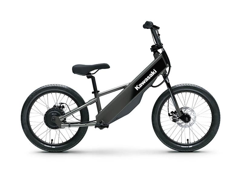 2025 Kawasaki Elektrode 20FS Base