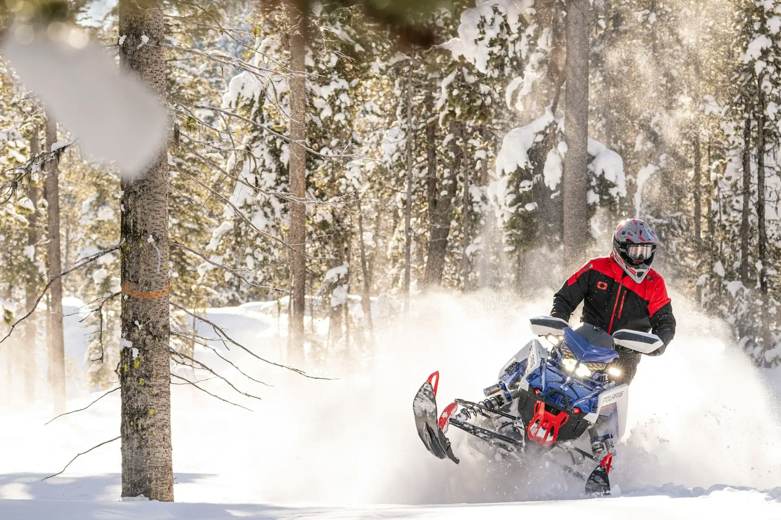 Polaris Snowmobiles